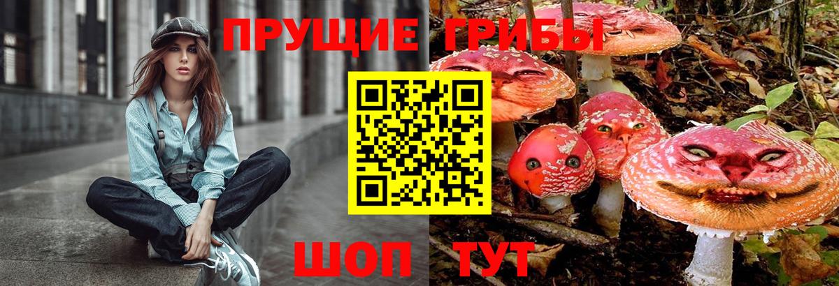Гурьевск  Псилоцибиновые грибы MAGIC MUSHROOMS  Вход с VPN 